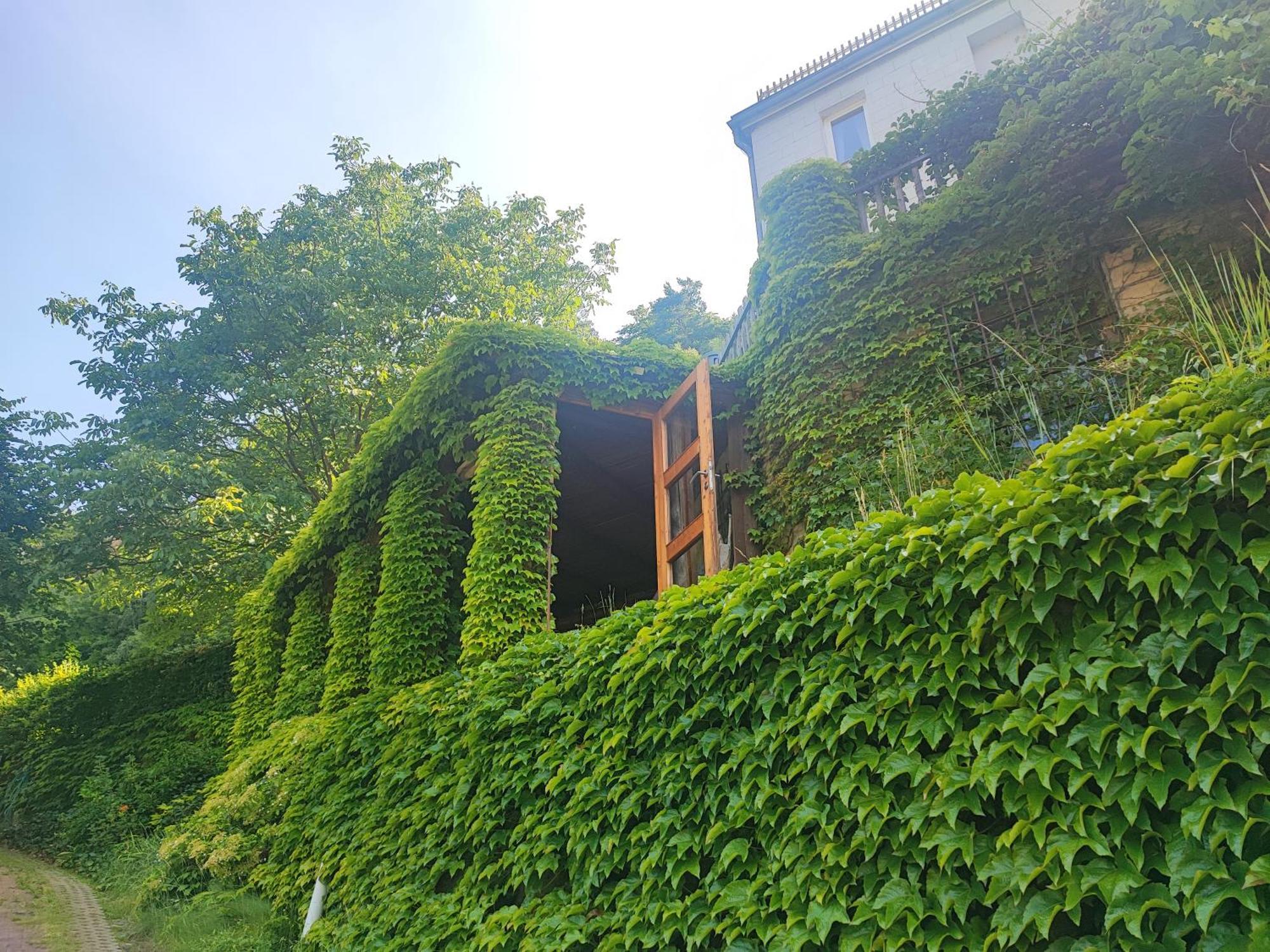Penzion Privoz Hřensko Cameră foto